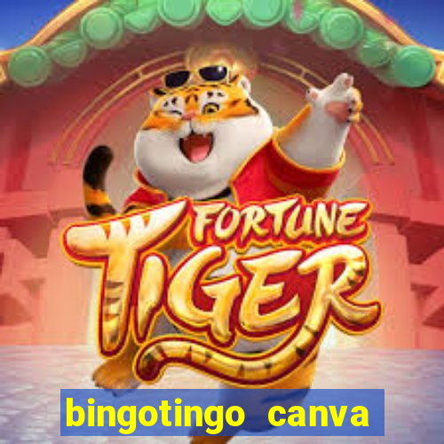 bingotingo canva pro gratis